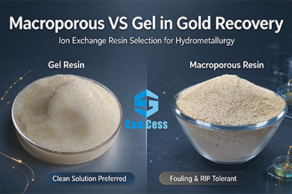 Macroporous/gel resin